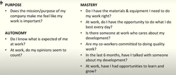 Slide grouping the 12 engagement questions under Purpose, Autonomy and Mastery
