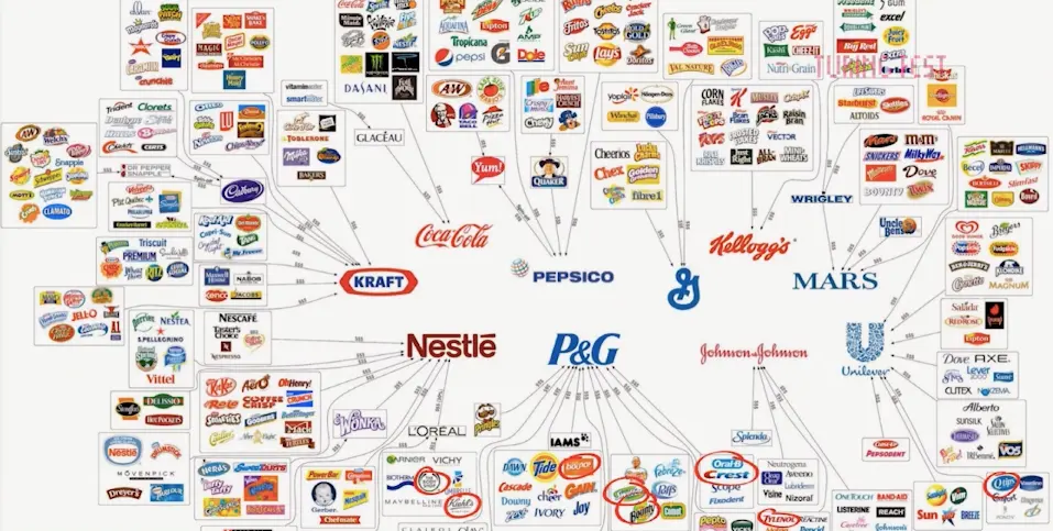 Slide: brand map of major FMCG logos around P&G, Nestle, Coca-Cola and Unilever
