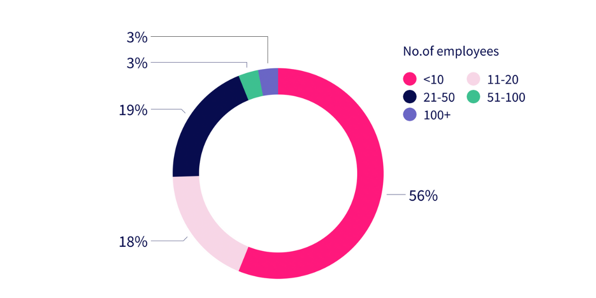 Respondents\_company\_size.png